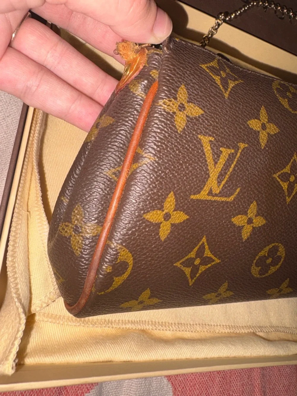 Louis Vuitton Brown EVA Monogram